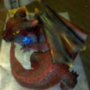 Meet your Posher, Jerri